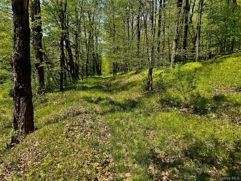 4 West Hill Road Austerlitz NY