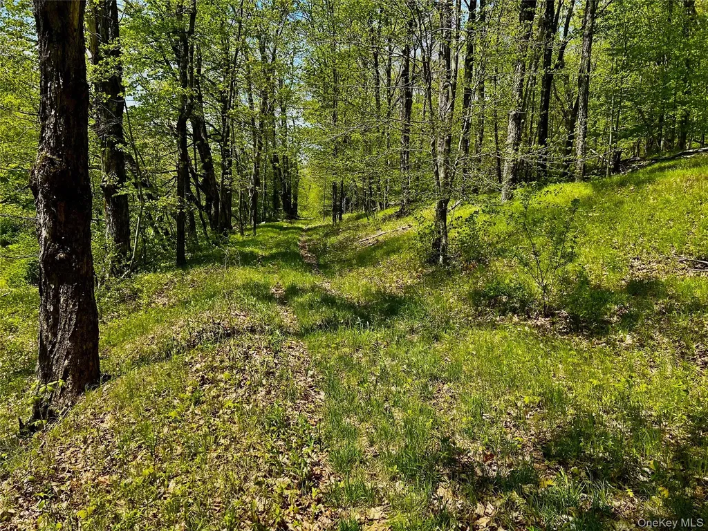 00 Dugway Austerlitz NY 12017