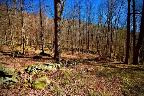 339 Mountain Lake Road Andes NY 13731