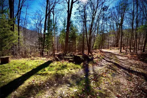 339 Mountain Lake Road Andes NY 13731