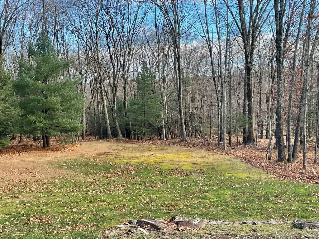 29 Porter Road Mountain Dale NY 12763