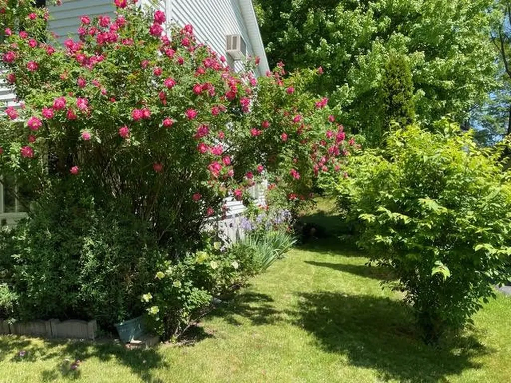 7 Ted Miller Drive Maybrook NY 12543