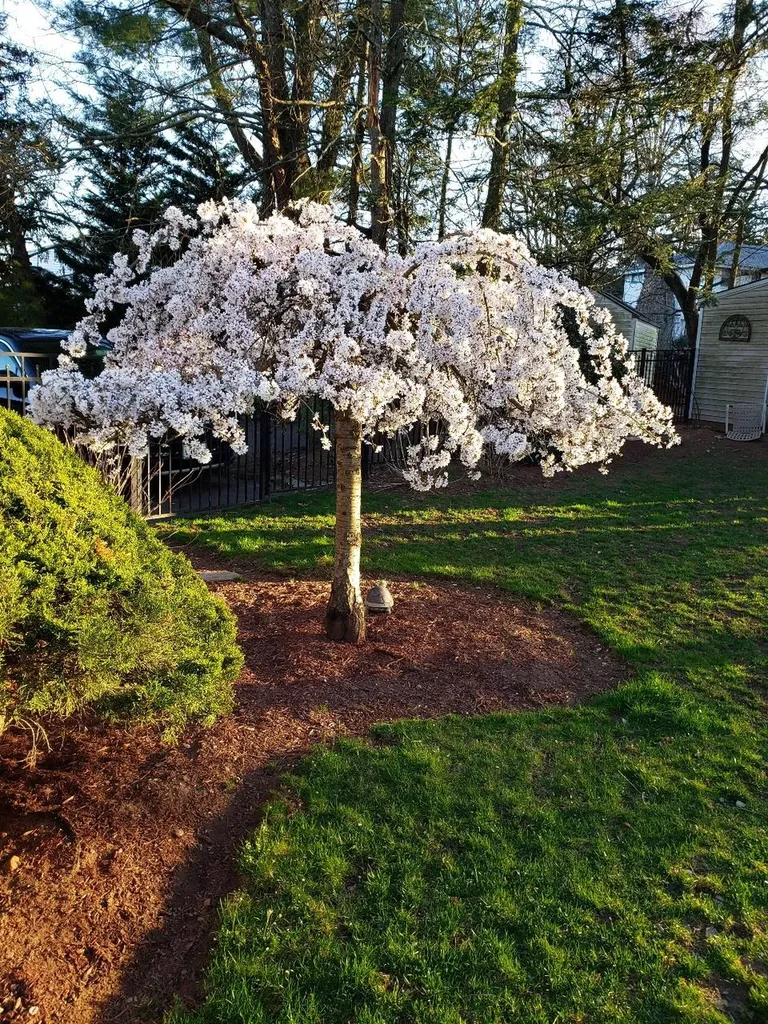 3 Glynn Oval Blauvelt NY 10913