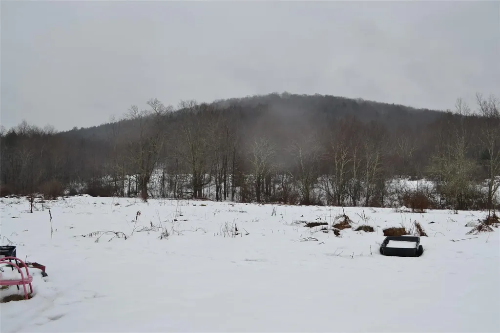 1748 Chipmunk Hollow Road Walton NY 13856