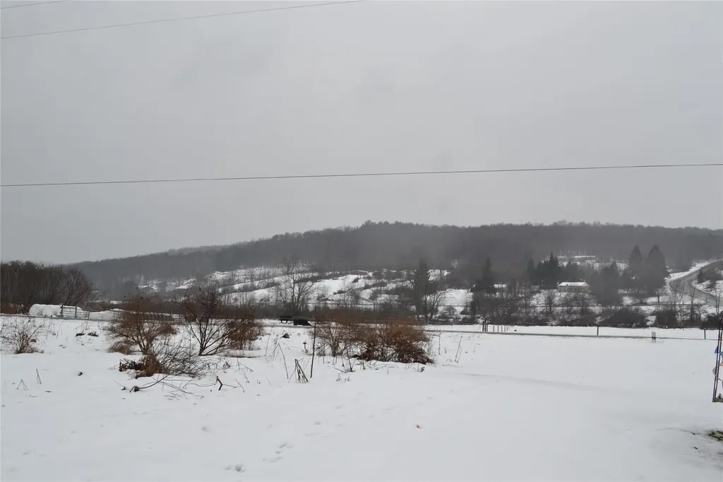 1748 Chipmunk Hollow Road Walton NY 13856