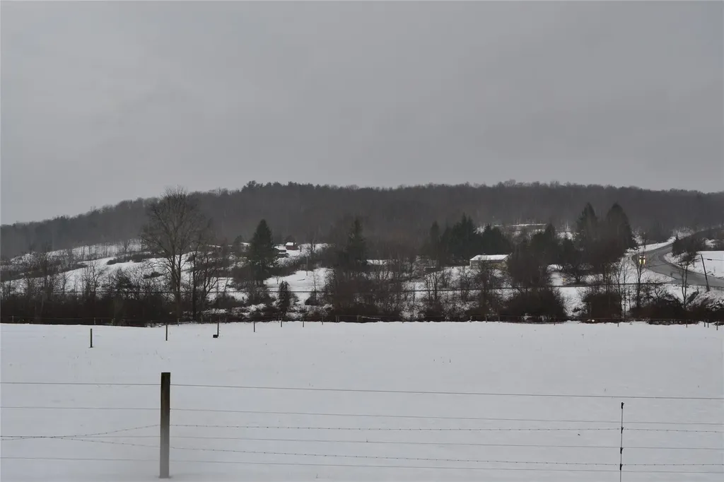 1748 Chipmunk Hollow Road Walton NY 13856