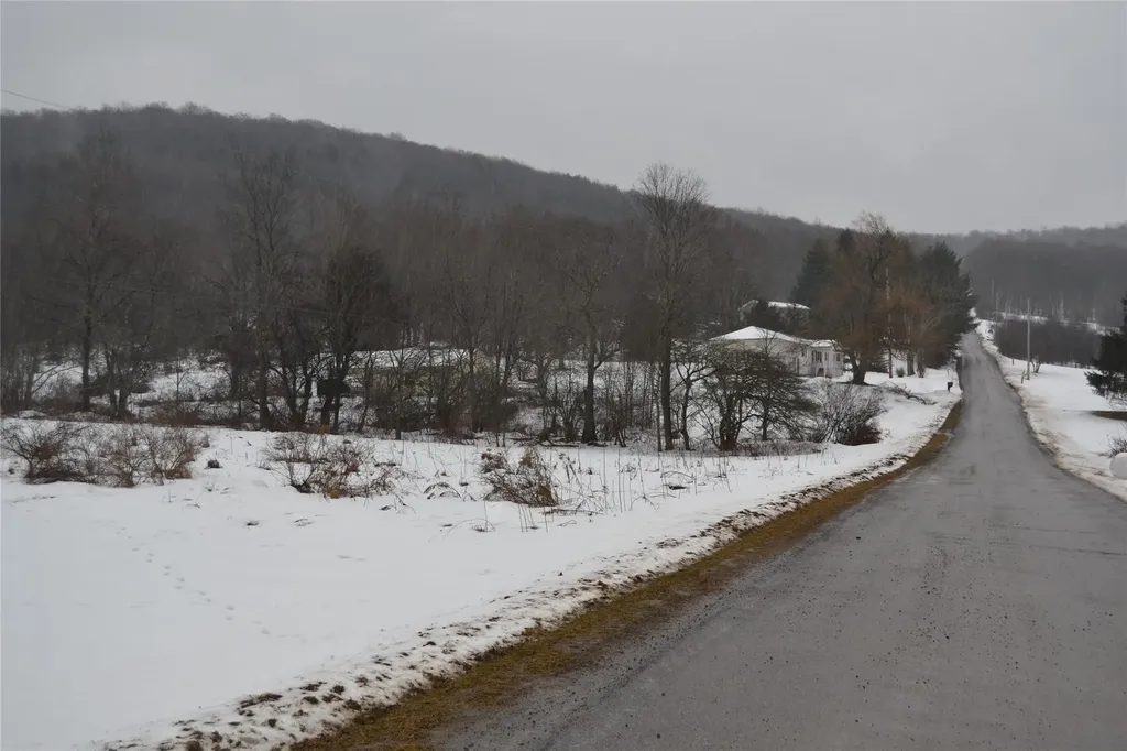 1748 Chipmunk Hollow Road Walton NY 13856