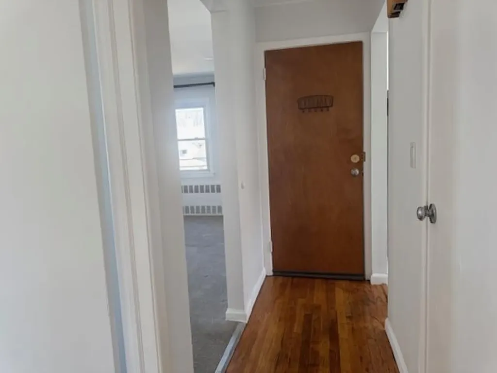 229 Maple Place Mineola NY 11501
