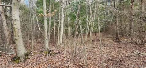 42 Concord Road Kiamesha Lake NY 12751