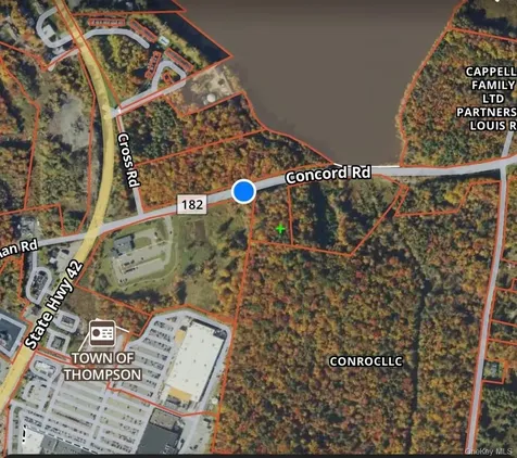 42 Concord Road Kiamesha Lake NY 12751