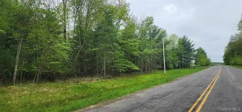 42 Concord Road Kiamesha Lake NY 12751