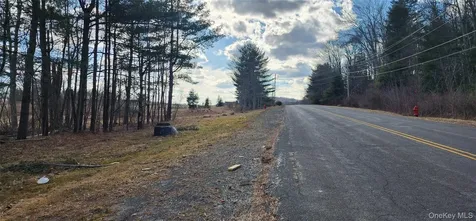 42 Concord Road Kiamesha Lake NY 12751