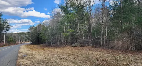 42 Concord Road Kiamesha Lake NY 12751
