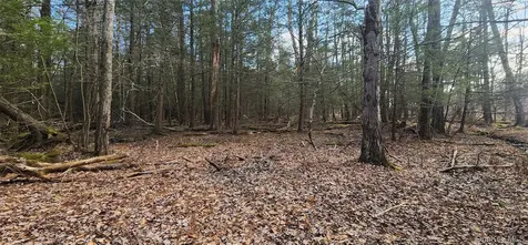 42 Concord Road Kiamesha Lake NY 12751