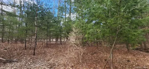 42 Concord Road Kiamesha Lake NY 12751