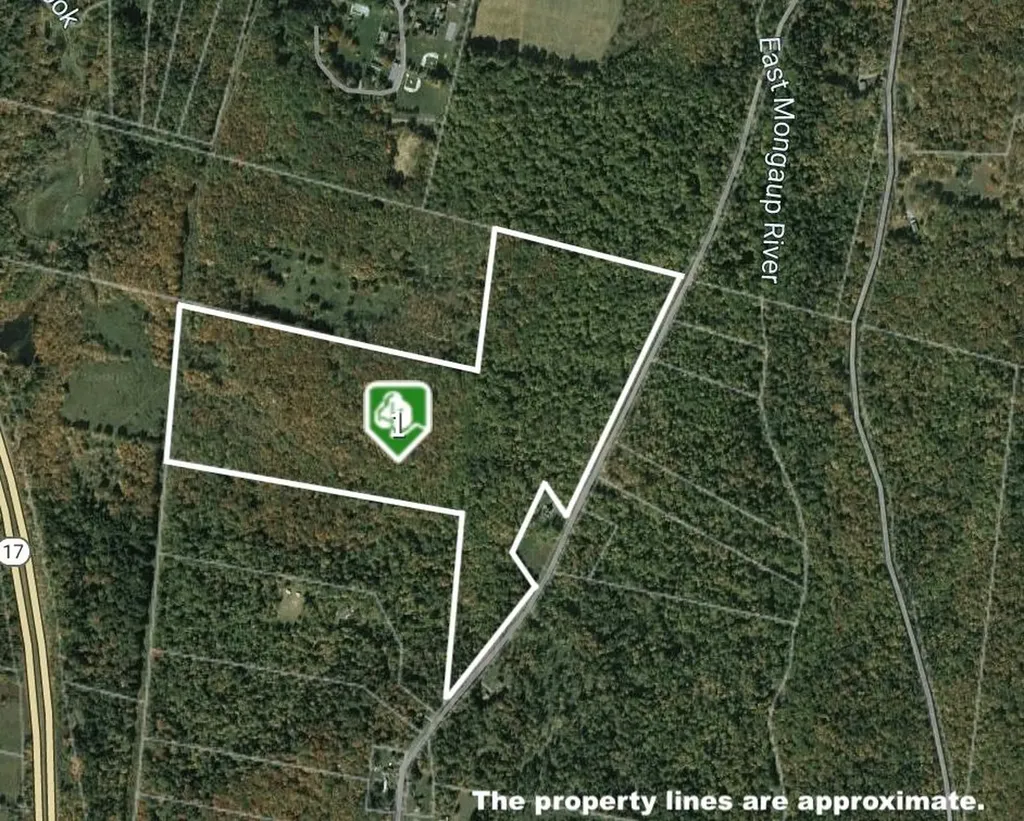 0 Big Woods Road Harris NY 12742
