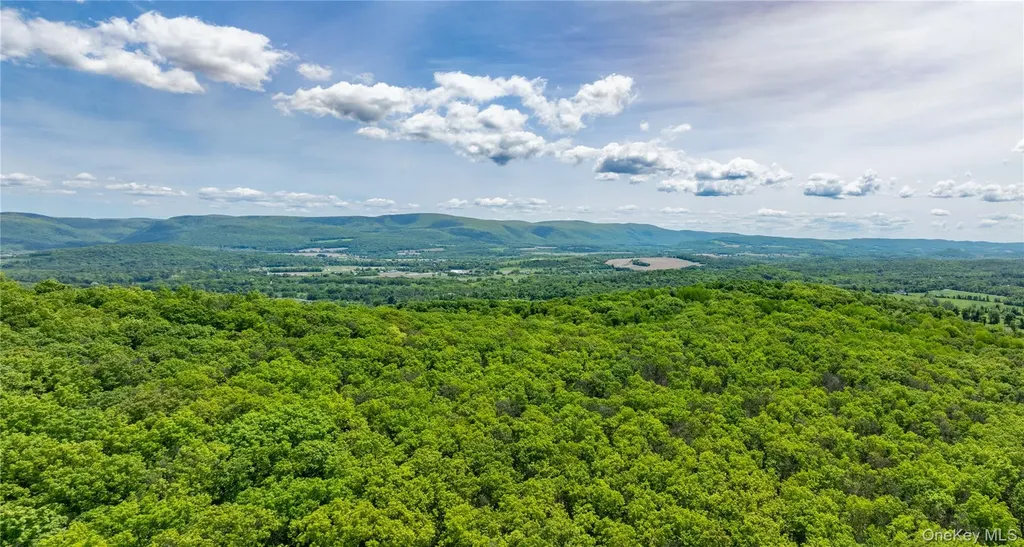 00 Route 7 Copake NY 12516