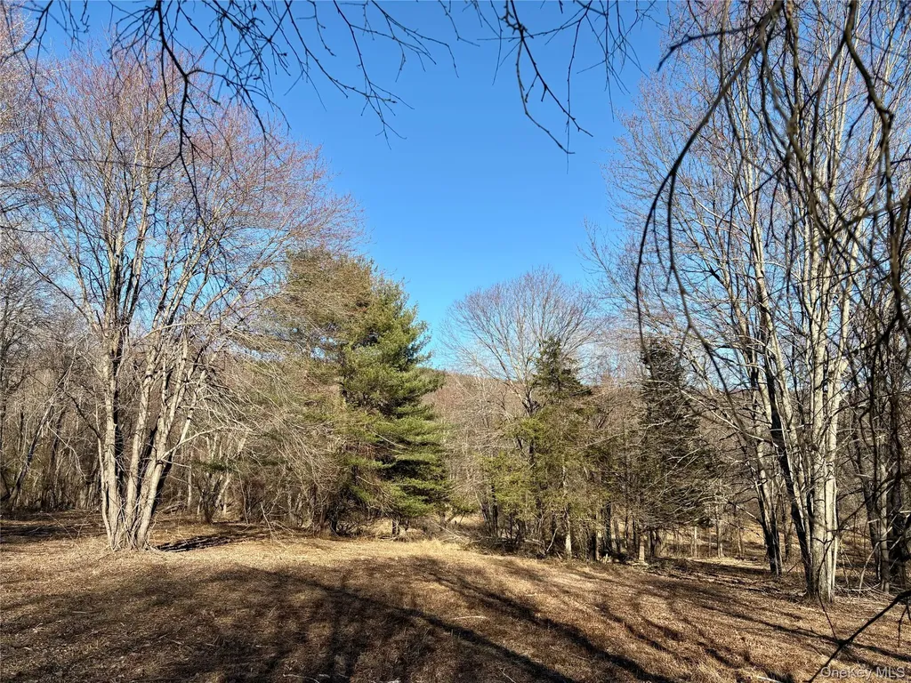 00 Route 7 Copake NY 12516