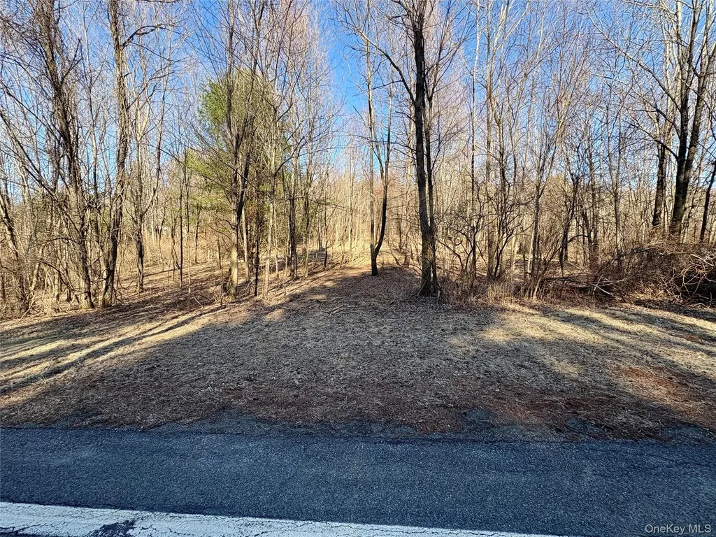 00 Route 7 Copake NY 12516