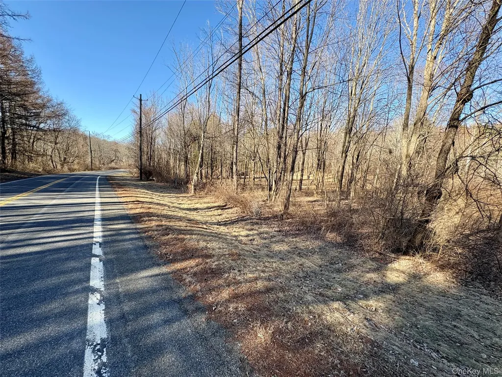 00 Route 7 Copake NY 12516