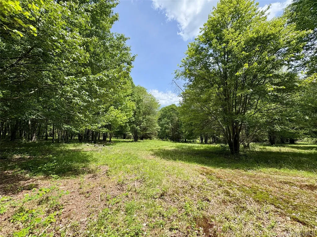 00 Route 7 Copake NY 12516