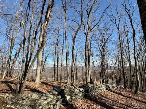 00 Route 7 Copake NY 12516