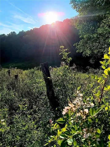 295 Pleasant Valley Road North Branch NY 12766