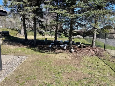 311 Dingle Ridge Road North Salem NY 10560