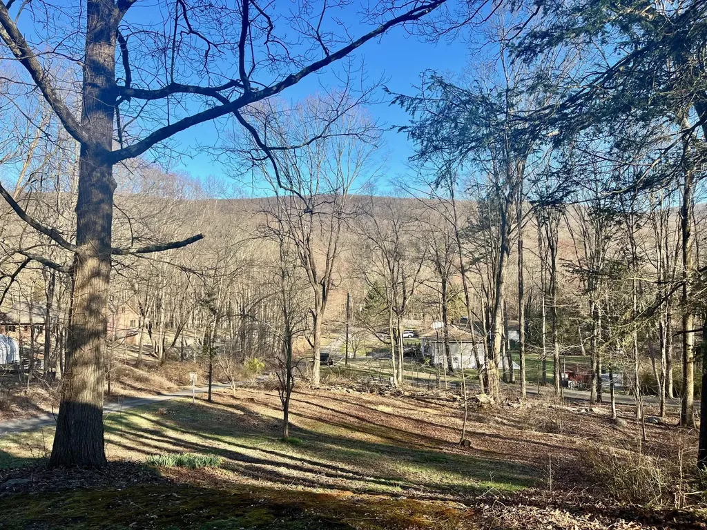 29 Lotus Lane Monroe NY 10950