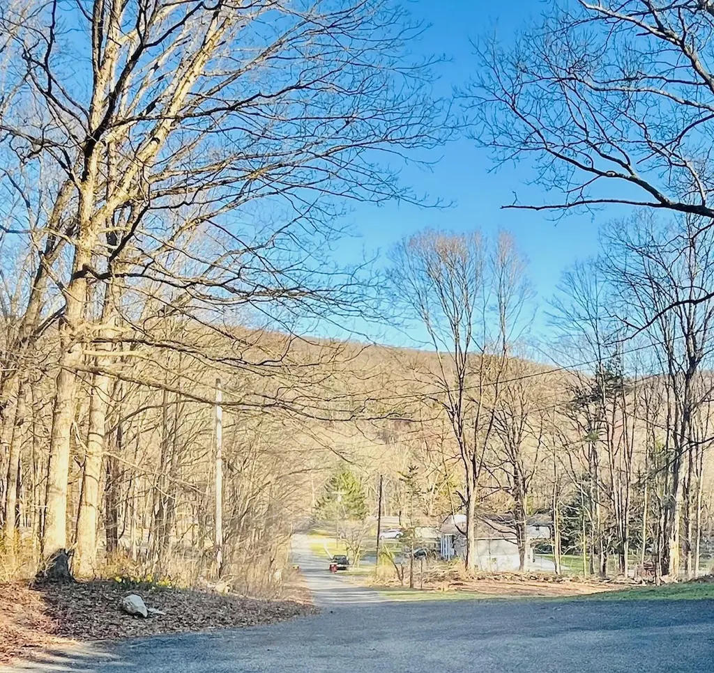 29 Lotus Lane Monroe NY 10950