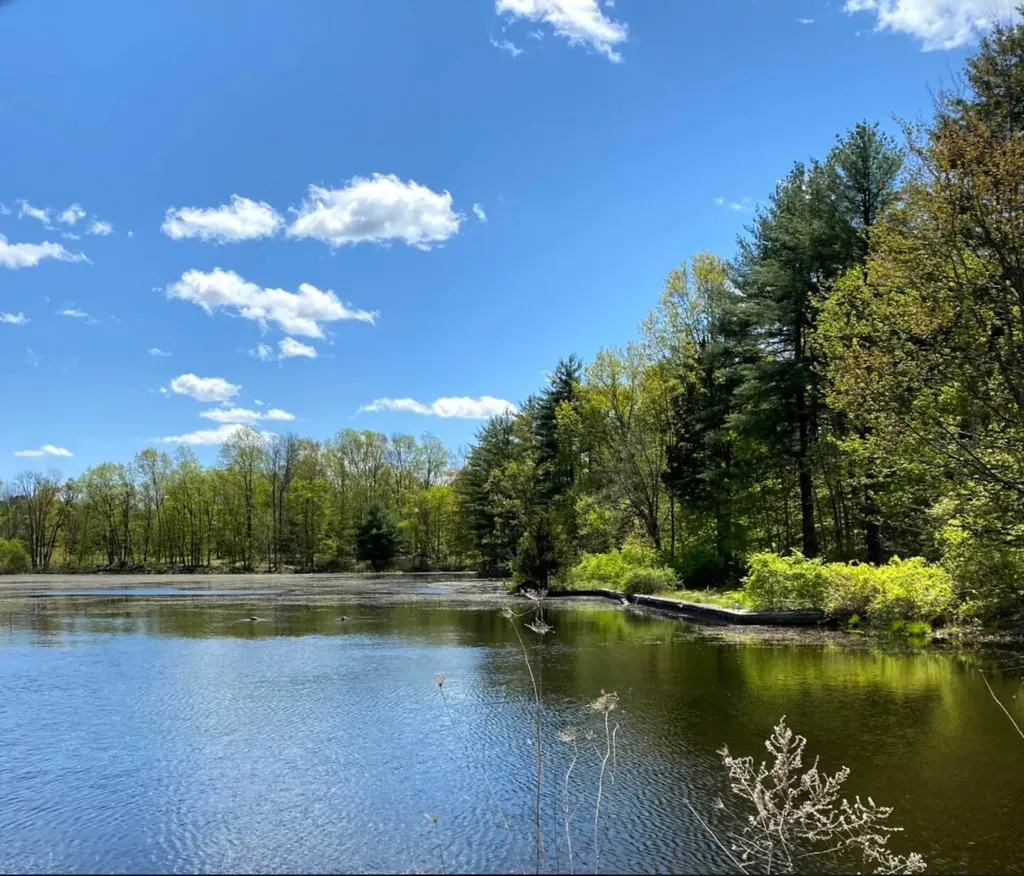 48 James Clark Drive Middletown NY 10940