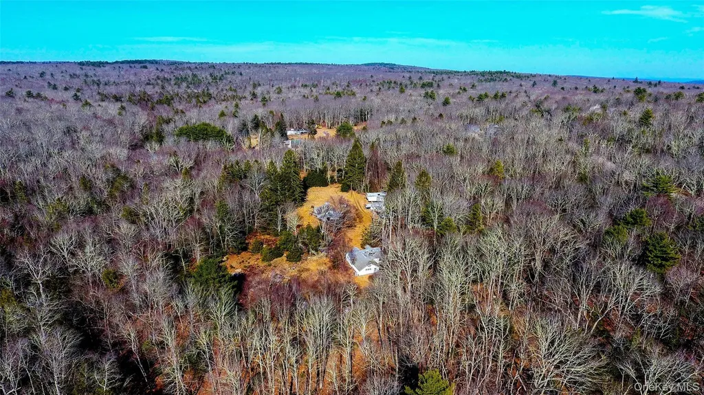 1021 Pine Kill Road Wurtsboro NY 12790