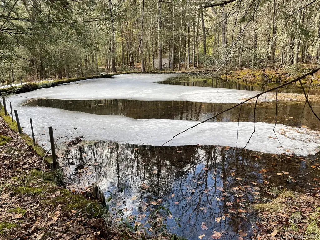 1021 Pine Kill Road Wurtsboro NY 12790
