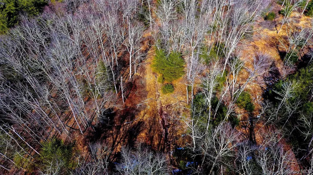 1021 Pine Kill Road Wurtsboro NY 12790