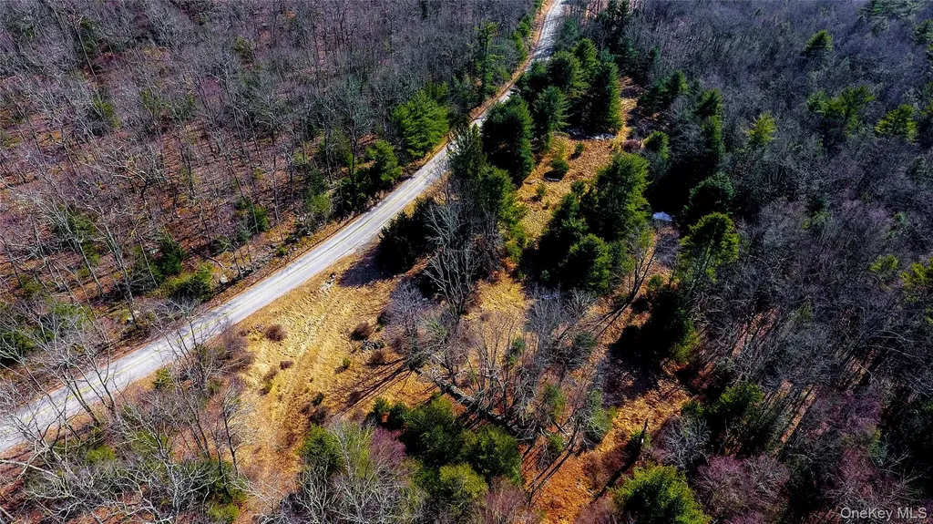 1021 Pine Kill Road Wurtsboro NY 12790