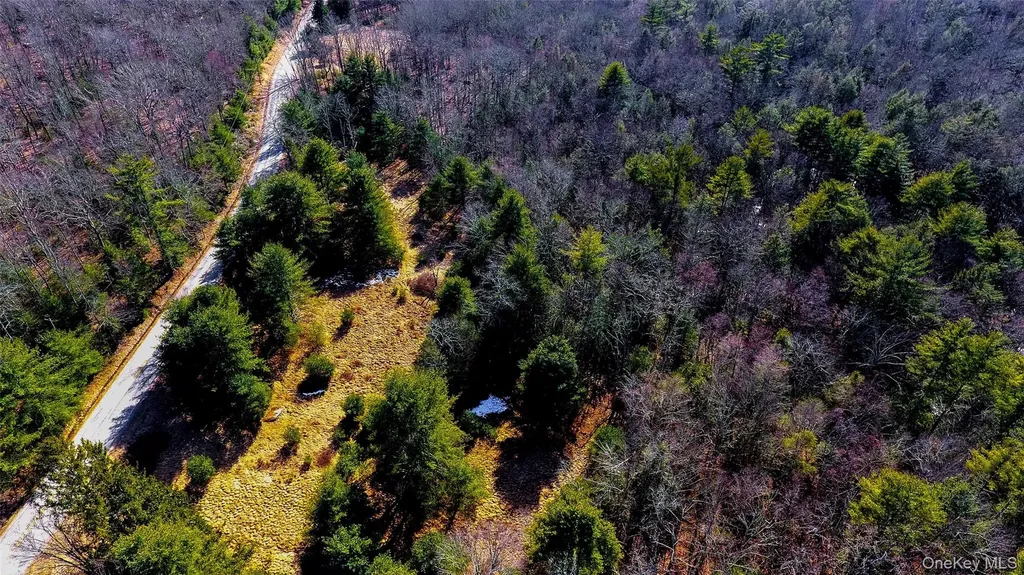1021 Pine Kill Road Wurtsboro NY 12790