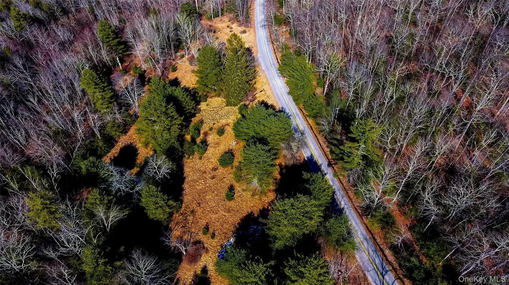 1021 Pine Kill Road Wurtsboro NY 12790
