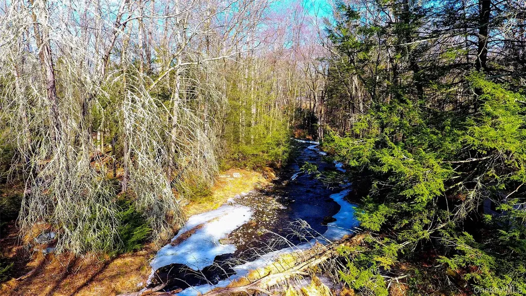 1021 Pine Kill Road Wurtsboro NY 12790