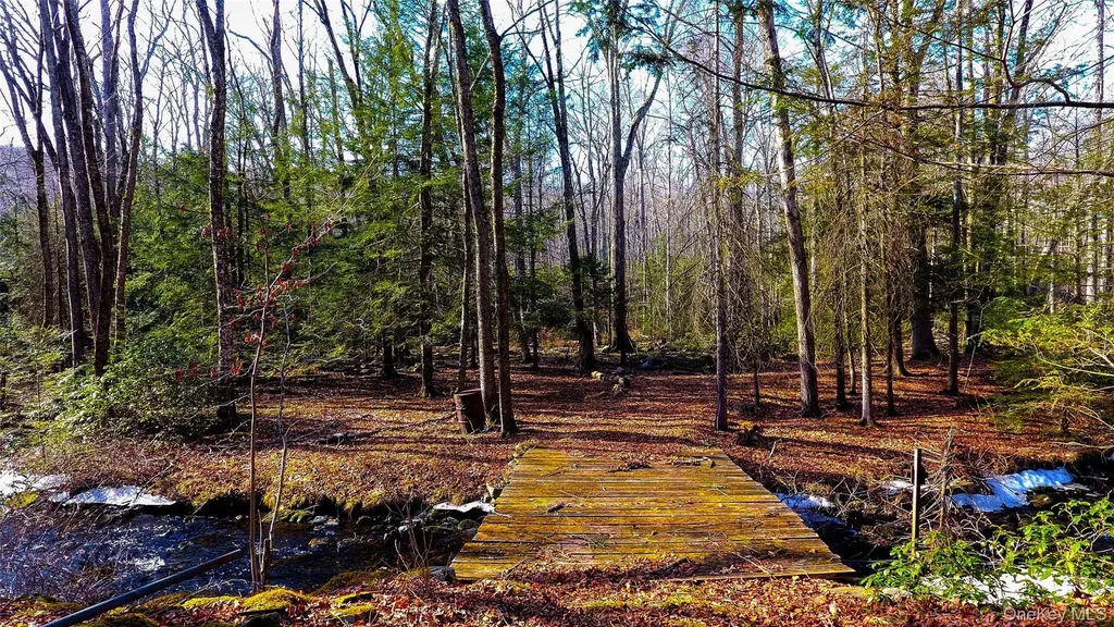 1021 Pine Kill Road Wurtsboro NY 12790