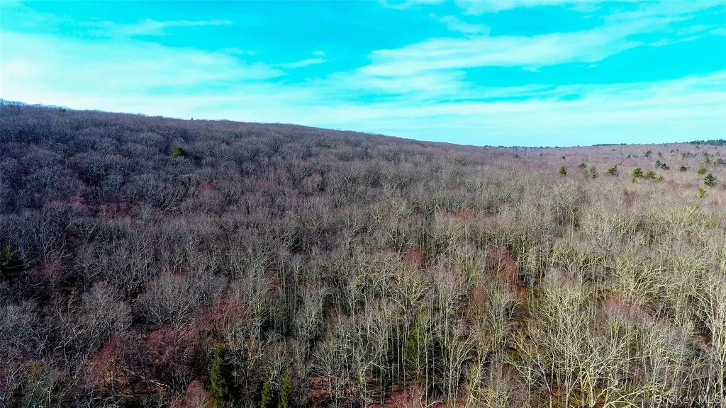 1021 Pine Kill Road Wurtsboro NY 12790