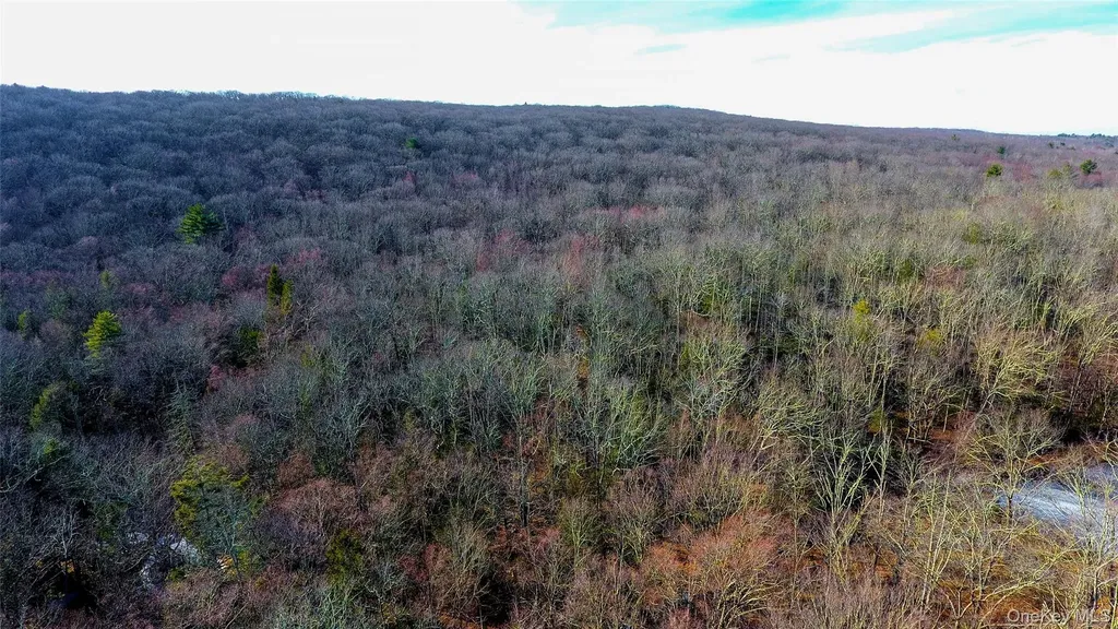 1021 Pine Kill Road Wurtsboro NY 12790
