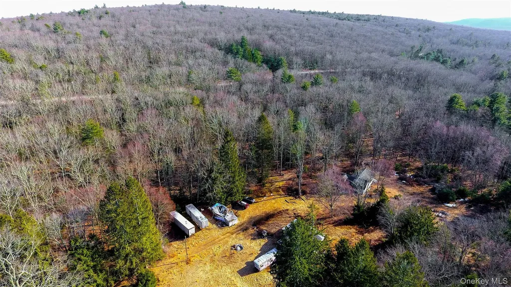 1021 Pine Kill Road Wurtsboro NY 12790
