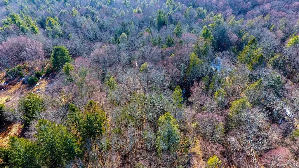 1021 Pine Kill Road Wurtsboro NY 12790