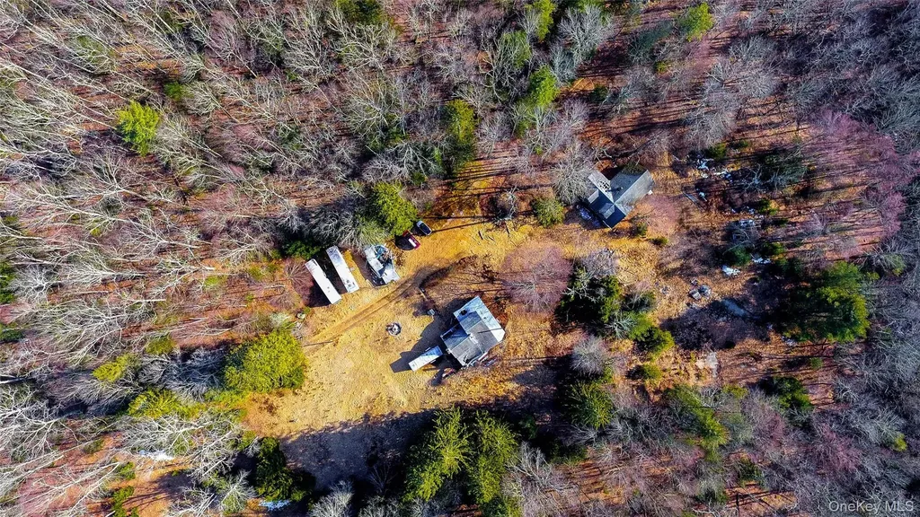 1021 Pine Kill Road Wurtsboro NY 12790