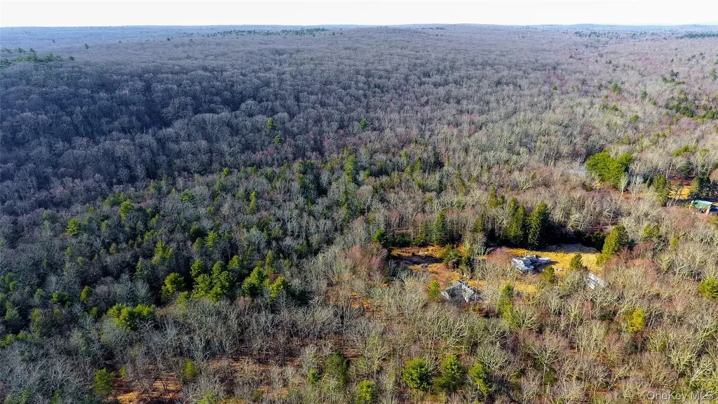 1021 Pine Kill Road Wurtsboro NY 12790