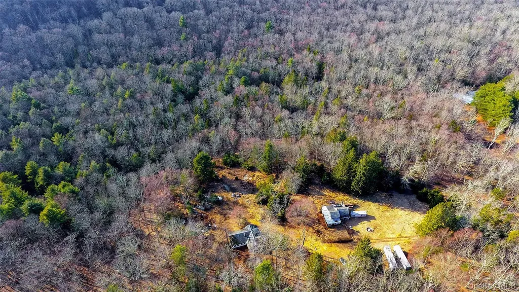 1021 Pine Kill Road Wurtsboro NY 12790