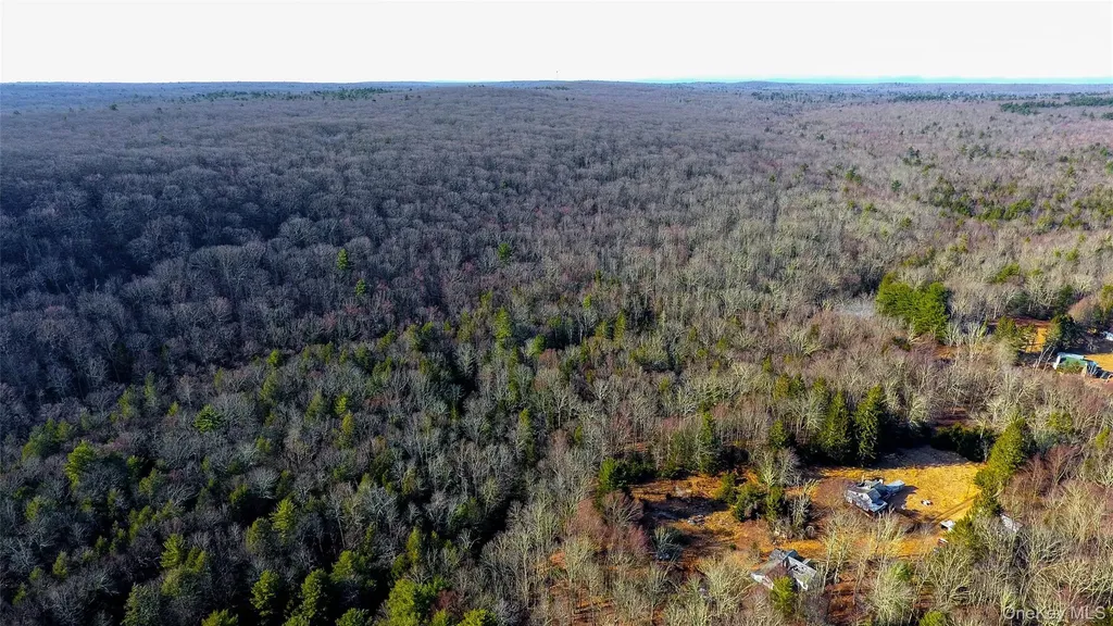 1021 Pine Kill Road Wurtsboro NY 12790