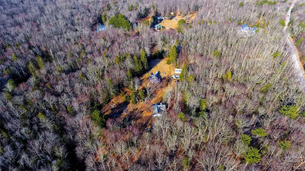 1021 Pine Kill Road Wurtsboro NY 12790