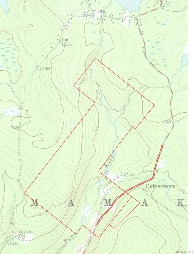 1021 Pine Kill Road Wurtsboro NY 12790