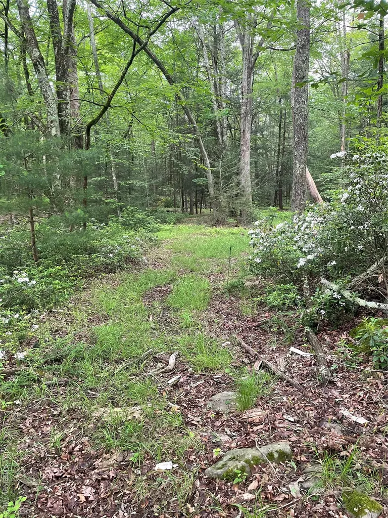1021 Pine Kill Road Wurtsboro NY 12790